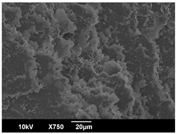 Polymers 16 00320 i002