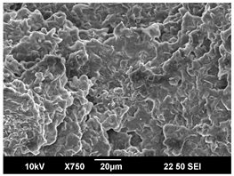 Polymers 16 00320 i006