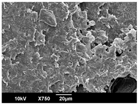 Polymers 16 00320 i008