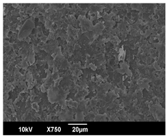 Polymers 16 00320 i010