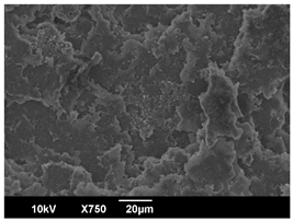 Polymers 16 00320 i011