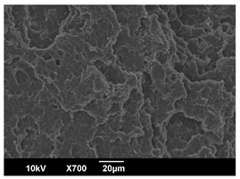 Polymers 16 00320 i012