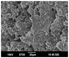 Polymers 16 00320 i013