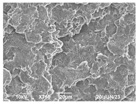 Polymers 16 00320 i014