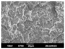 Polymers 16 00320 i015