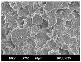 Polymers 16 00320 i017