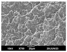 Polymers 16 00320 i018