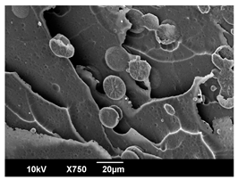 Polymers 16 00320 i019