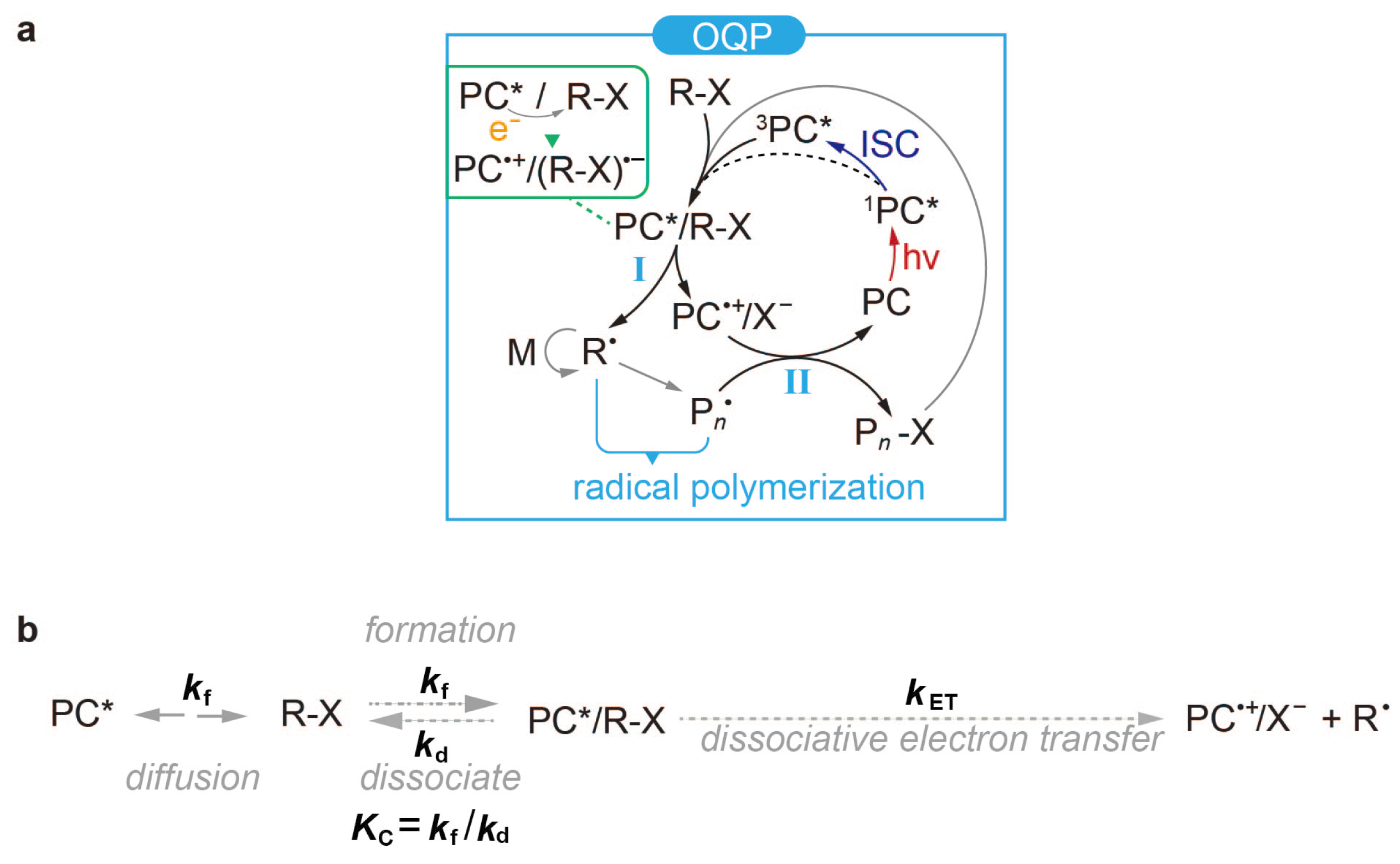 Polymers 16 00323 g001