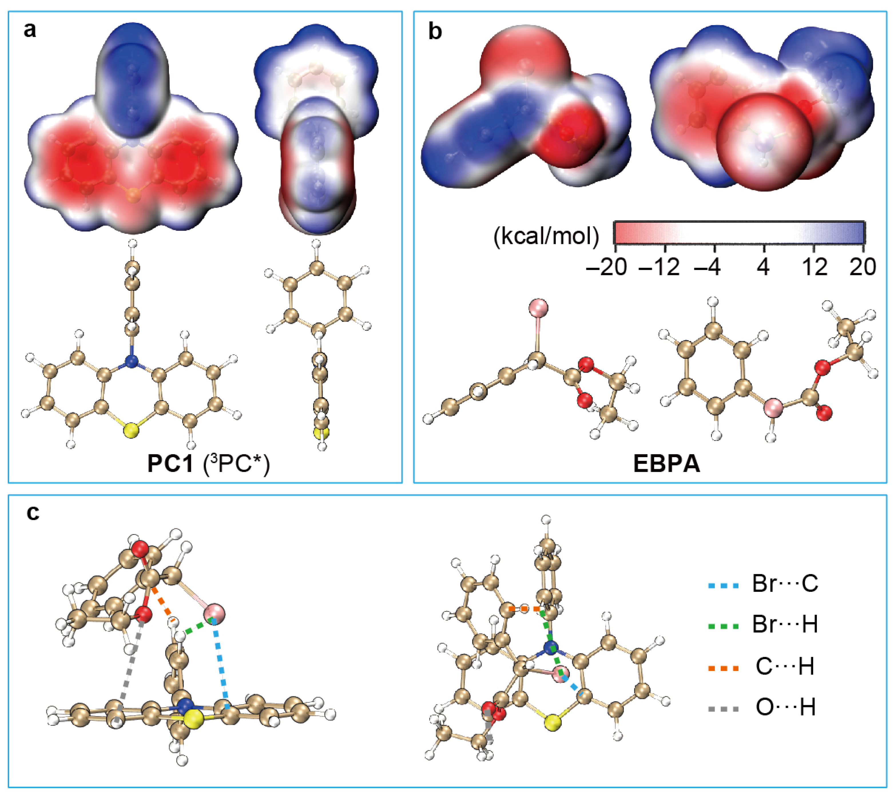 Polymers 16 00323 g003