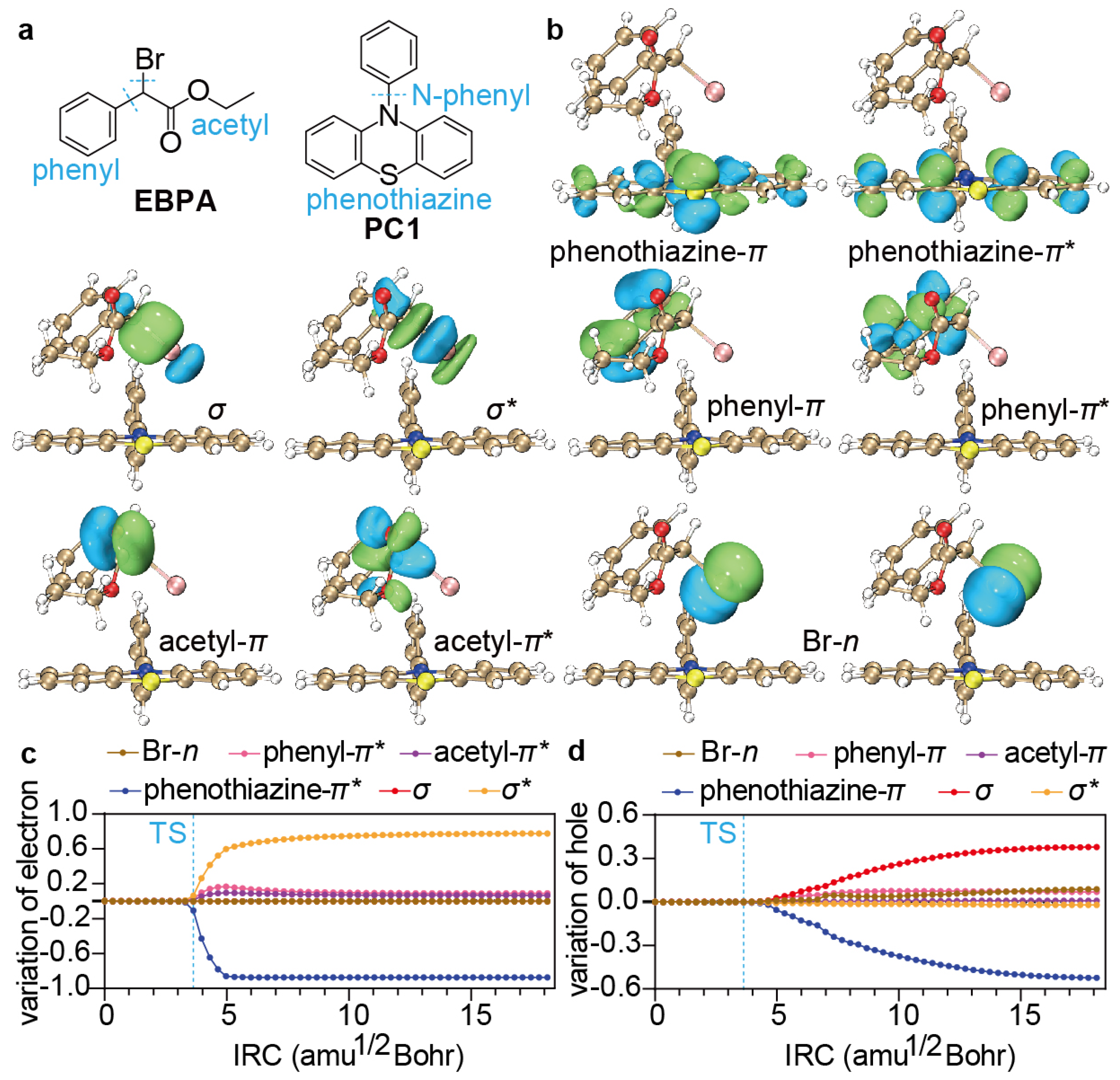 Polymers 16 00323 g005