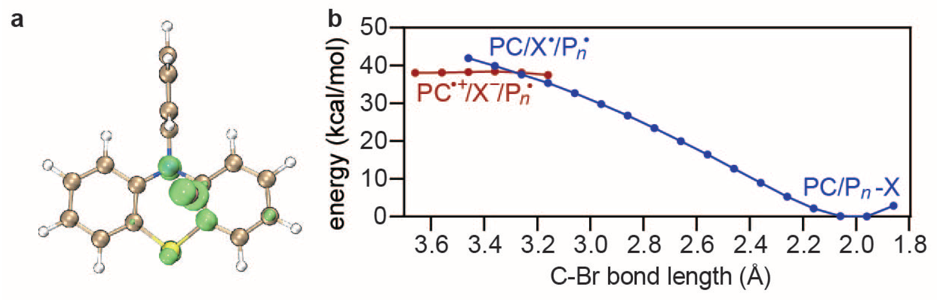 Polymers 16 00323 g006