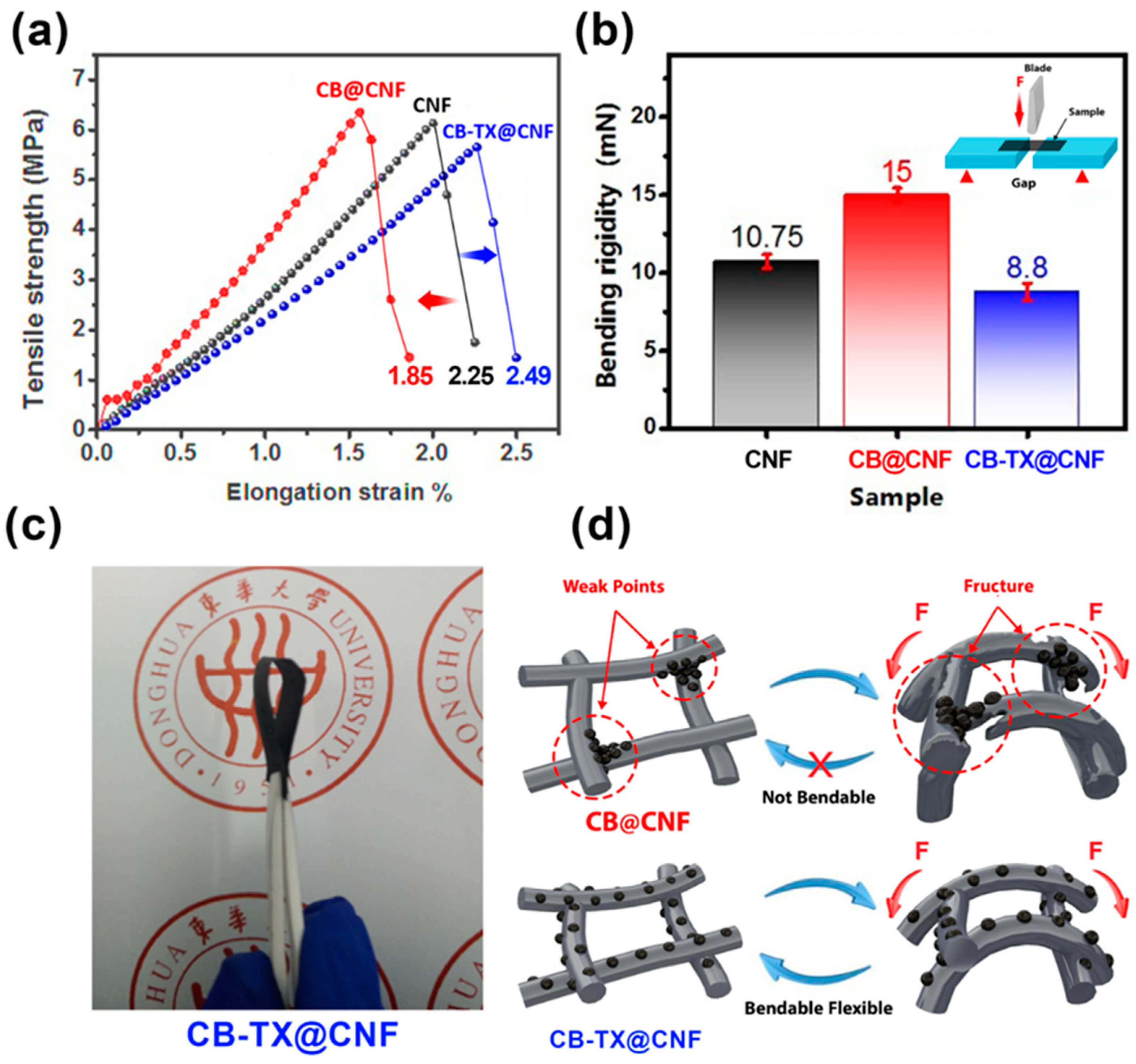 Polymers 16 00327 g004
