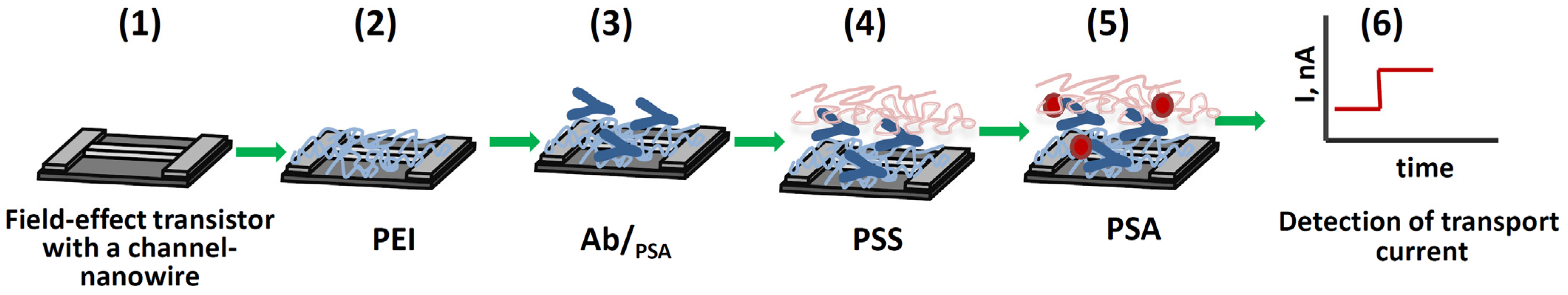 Polymers 16 00332 g001