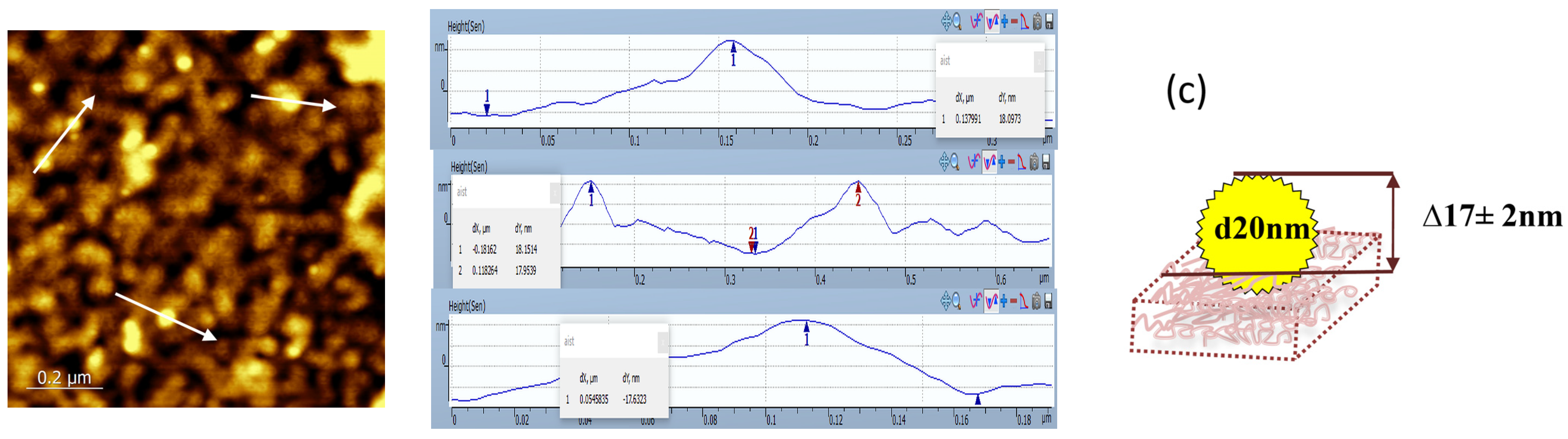 Polymers 16 00332 g004b