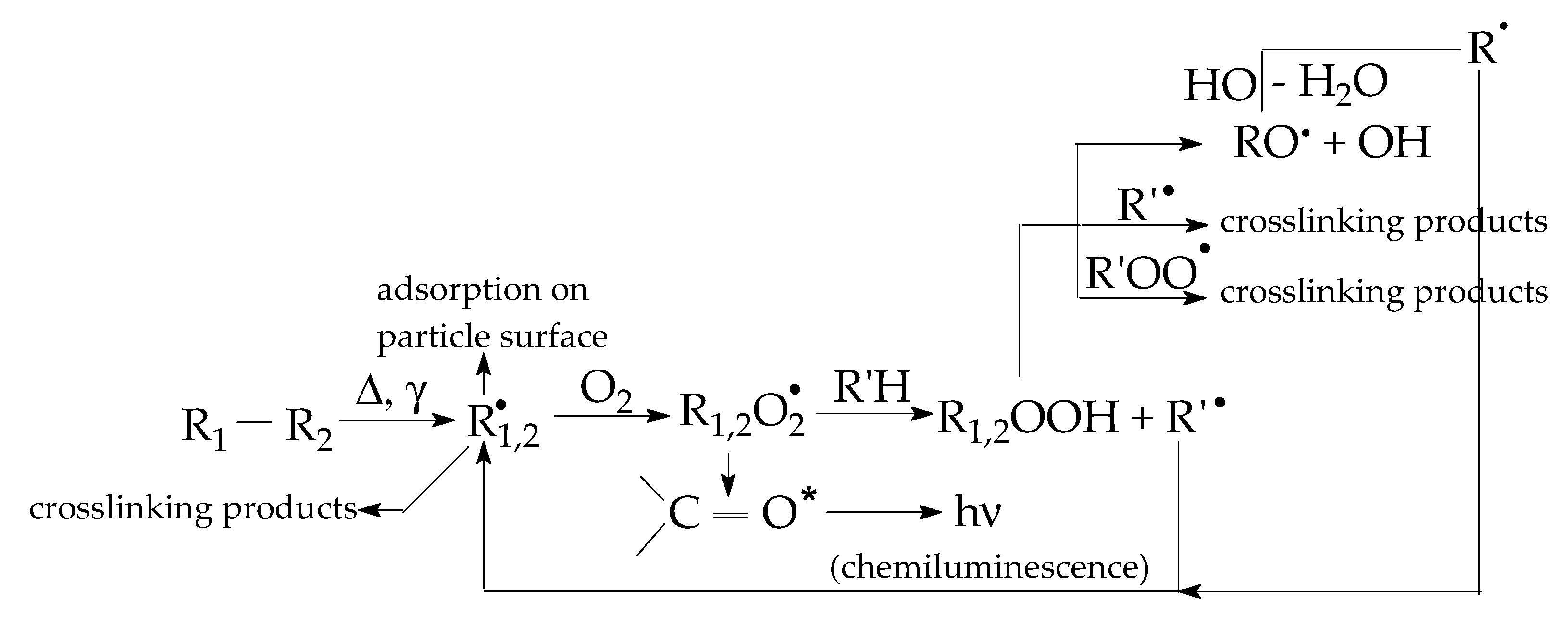 Polymers 16 00333 g003