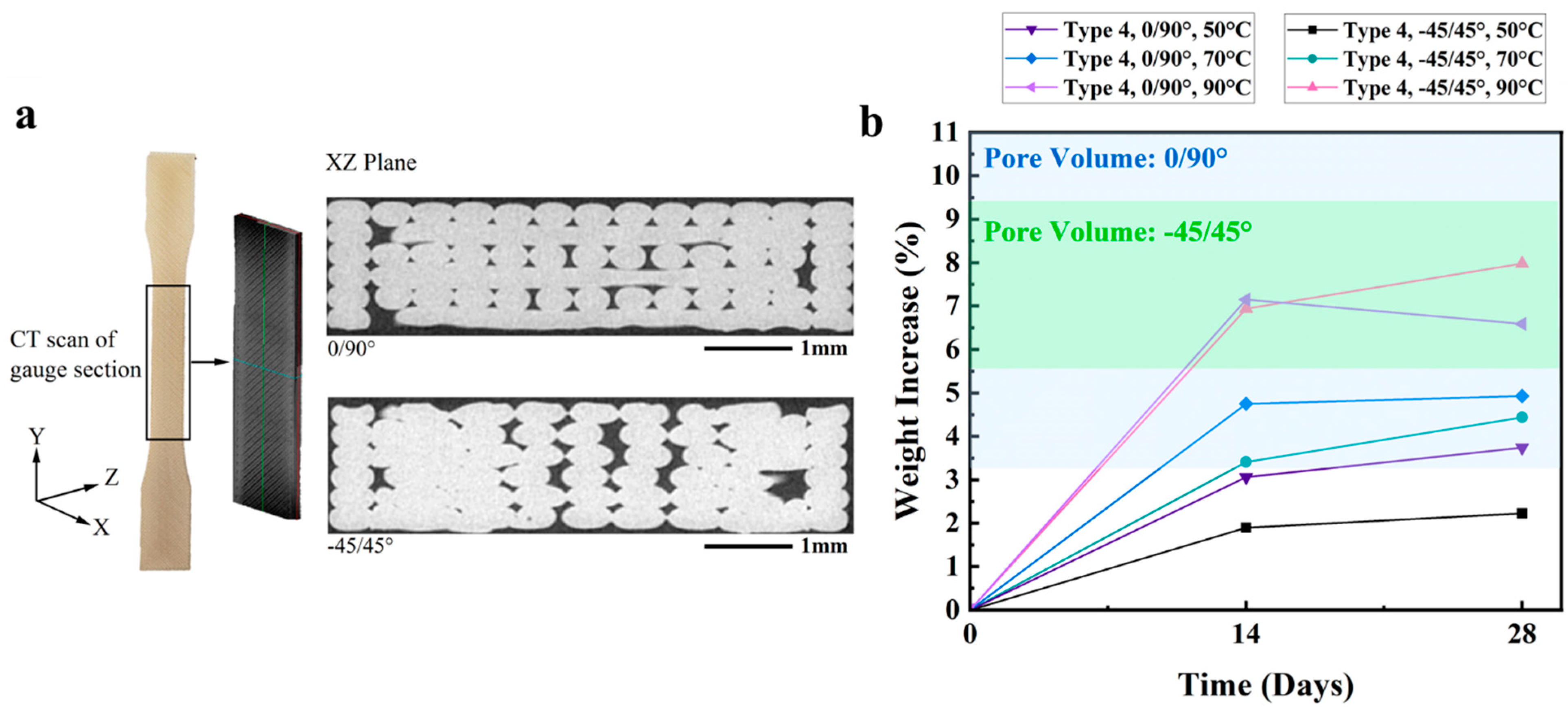 Polymers 16 00350 g007