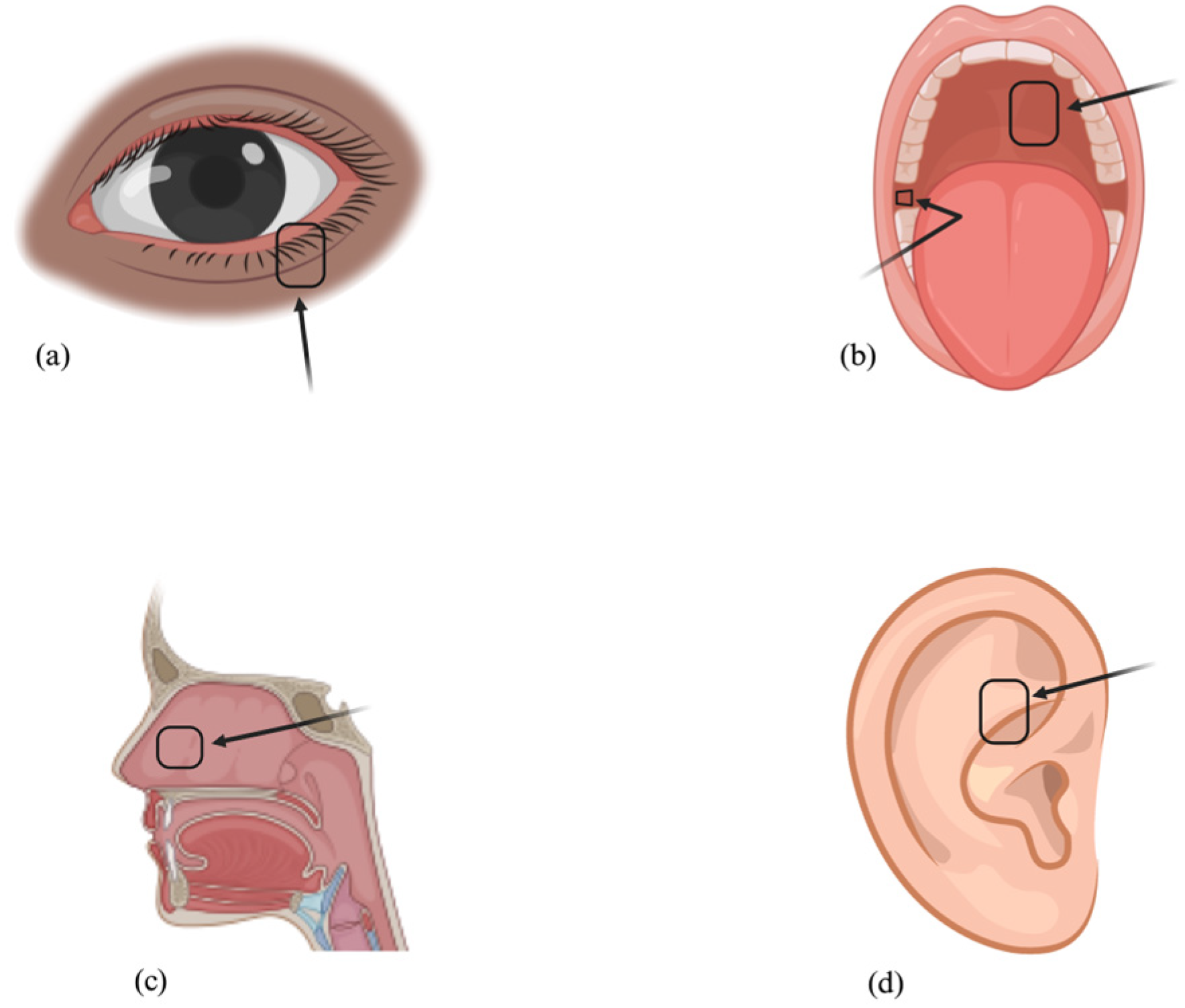 Polymers 16 00352 g003