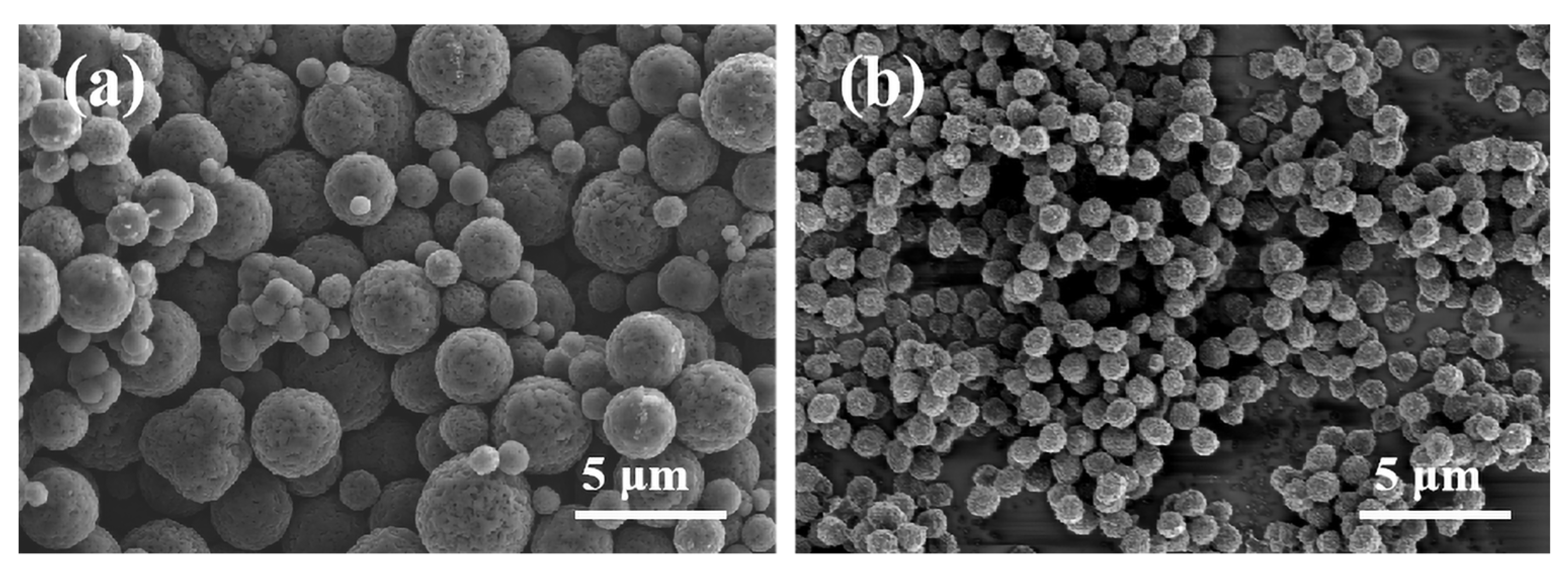 Polymers 16 00355 g001