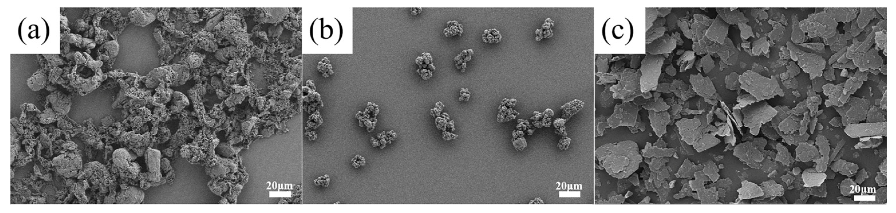 Polymers 16 00356 g001