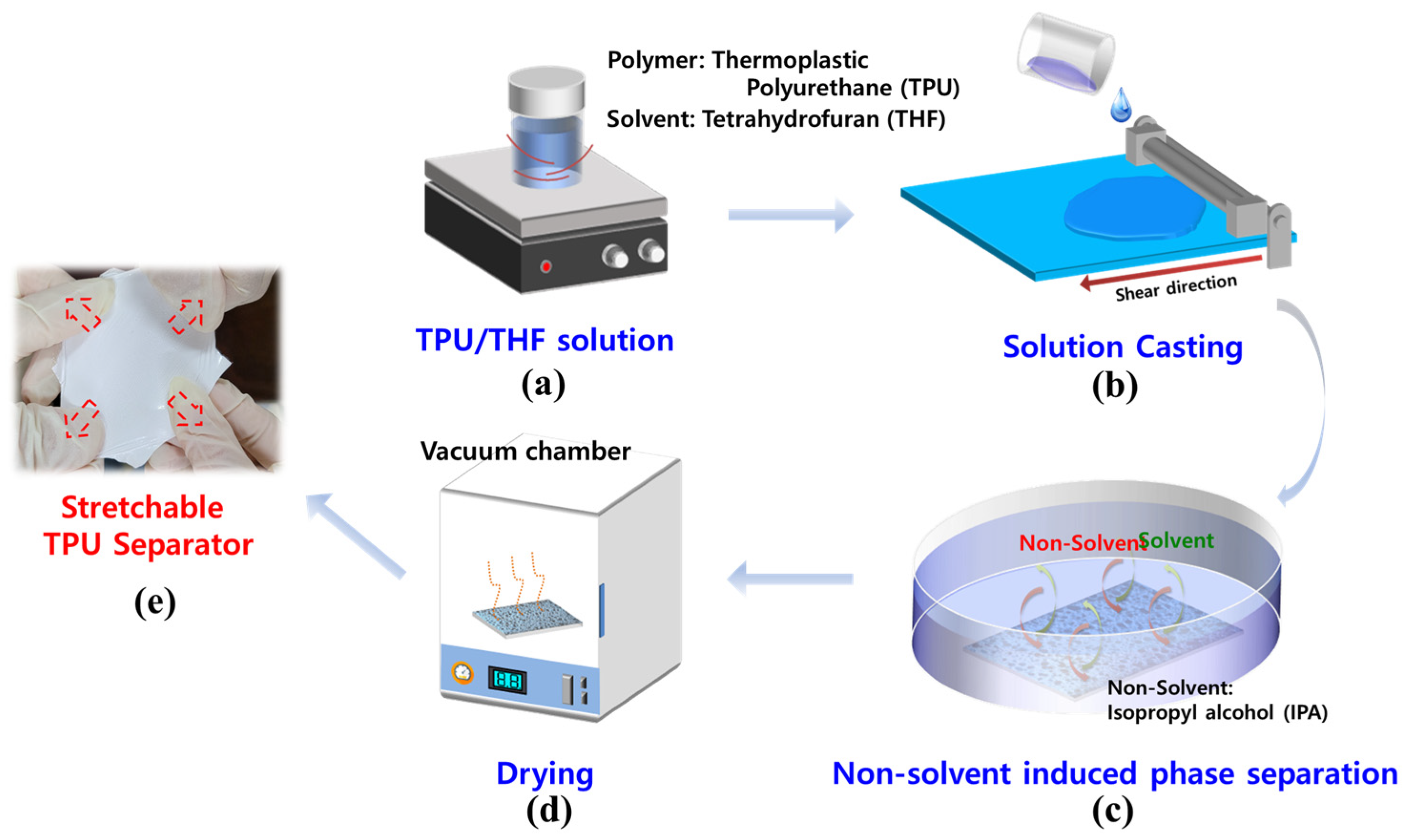 Supported substrate materials: (a) highly stretchable TPU, (b