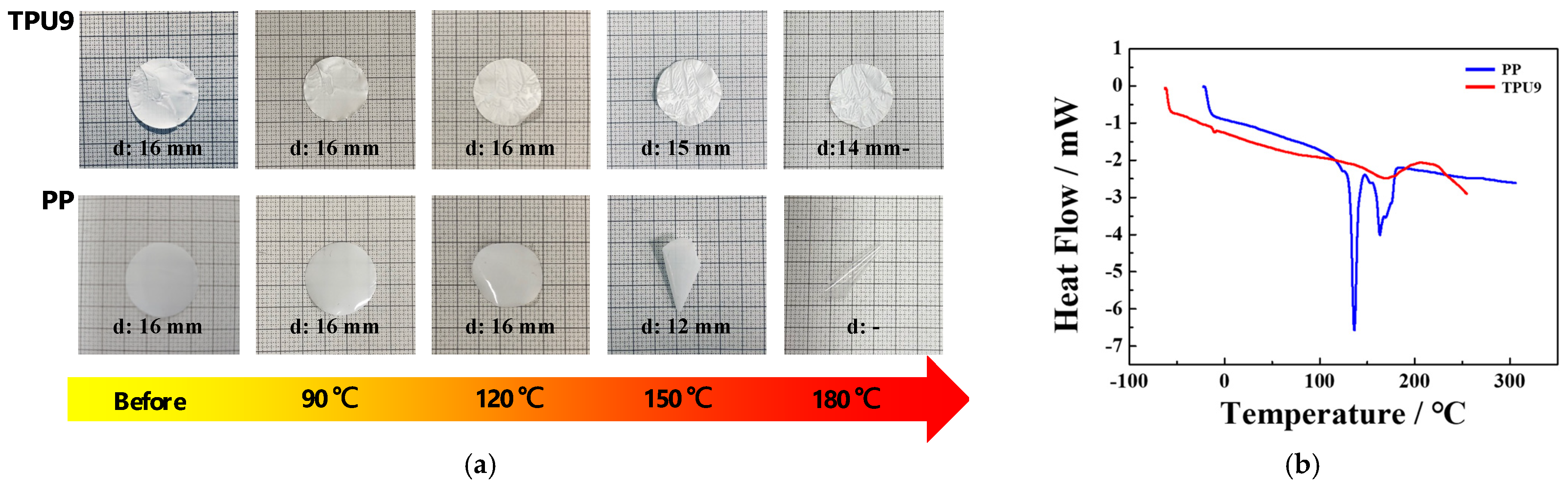 Polymers 16 00357 g005