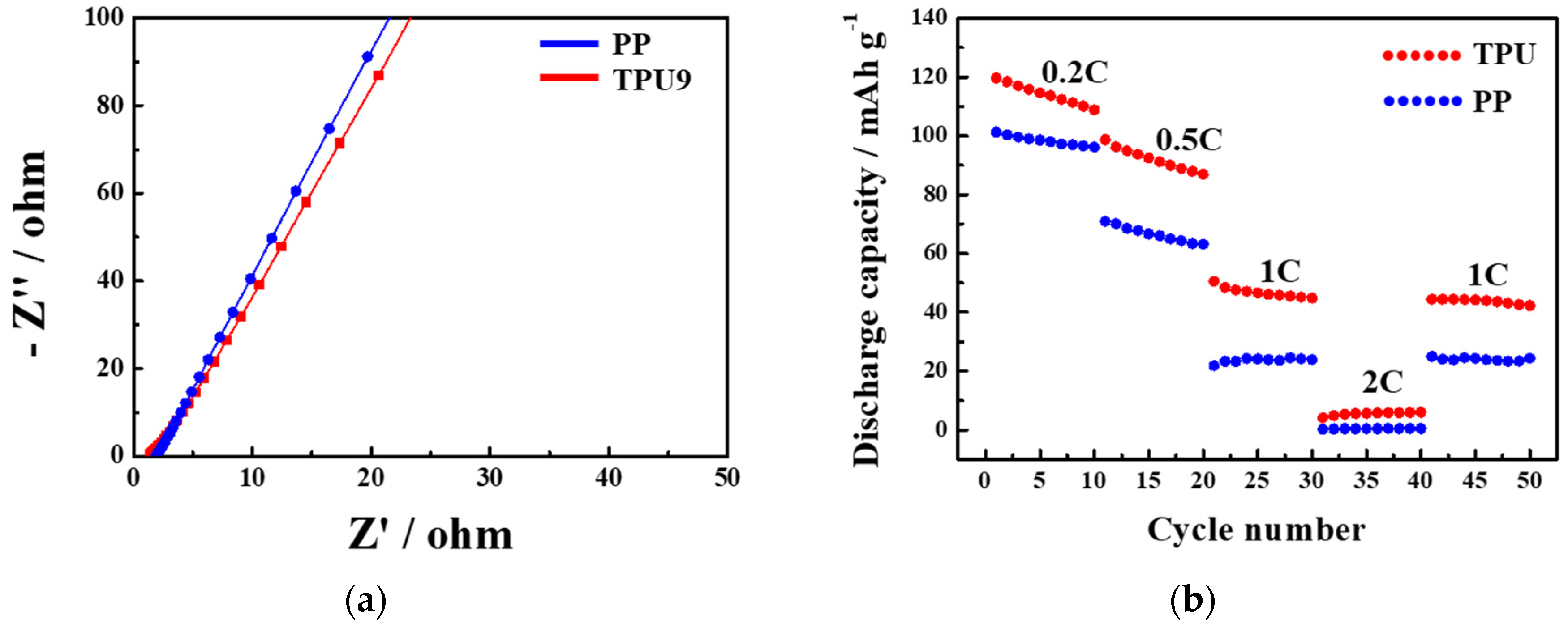 Polymers 16 00357 g007