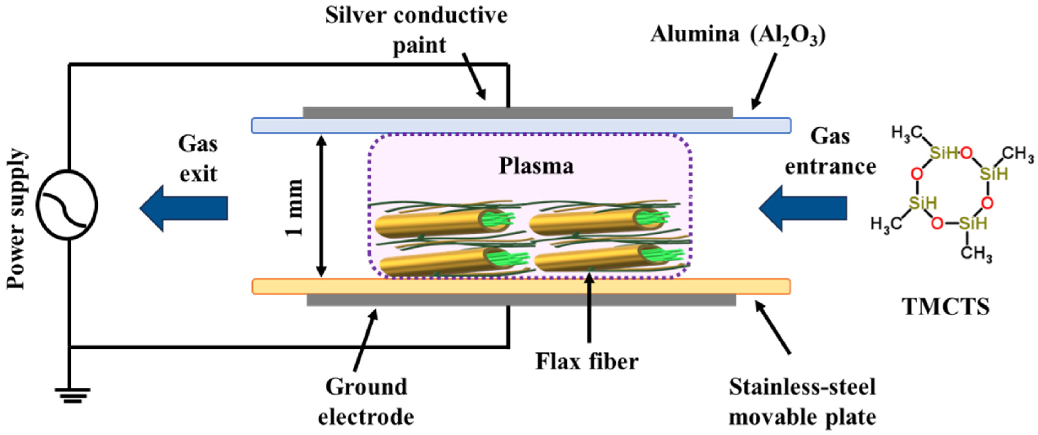 Polymers 16 00360 g001
