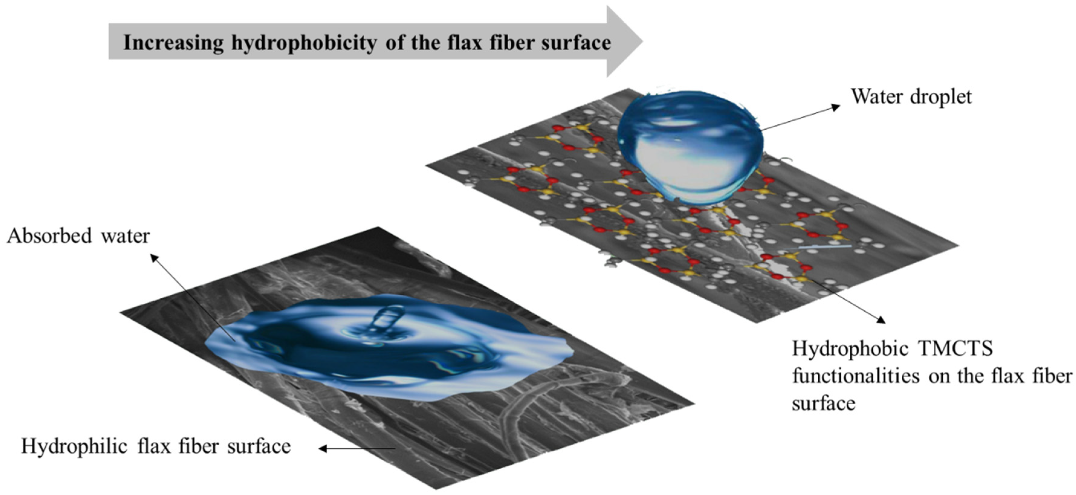 Polymers 16 00360 g004