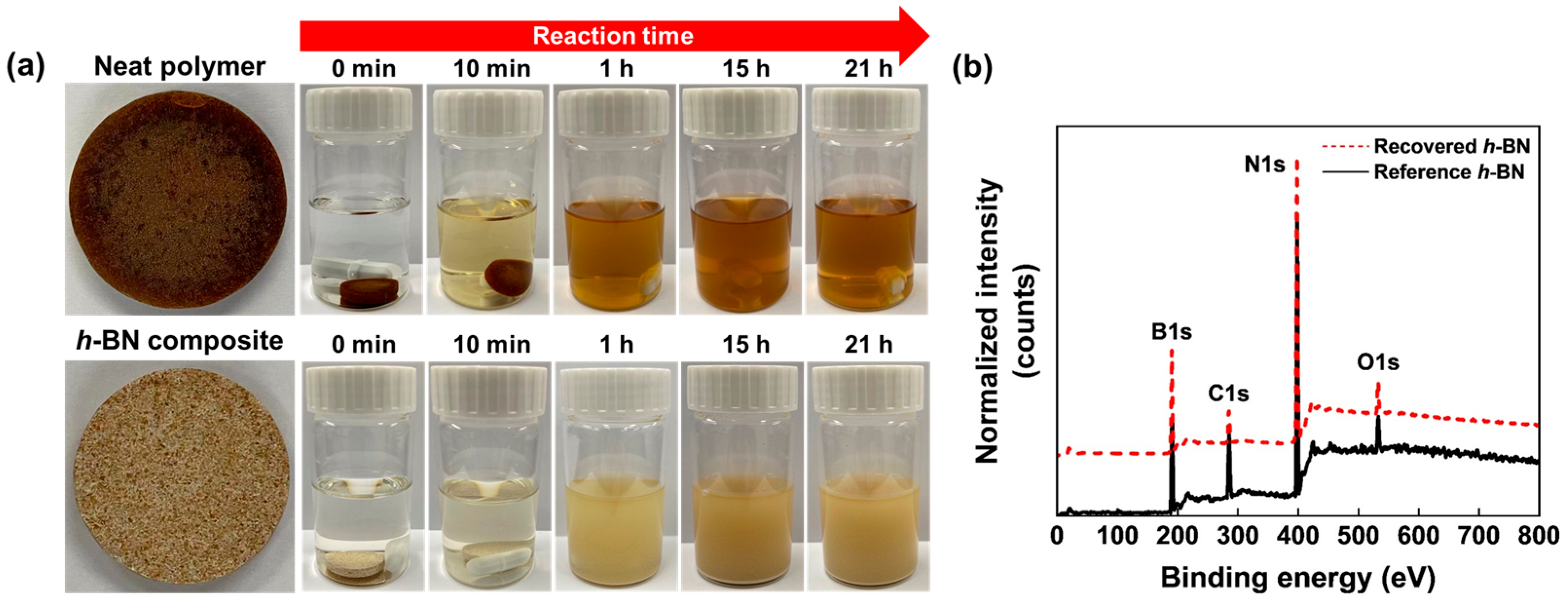 Polymers 16 00365 g016