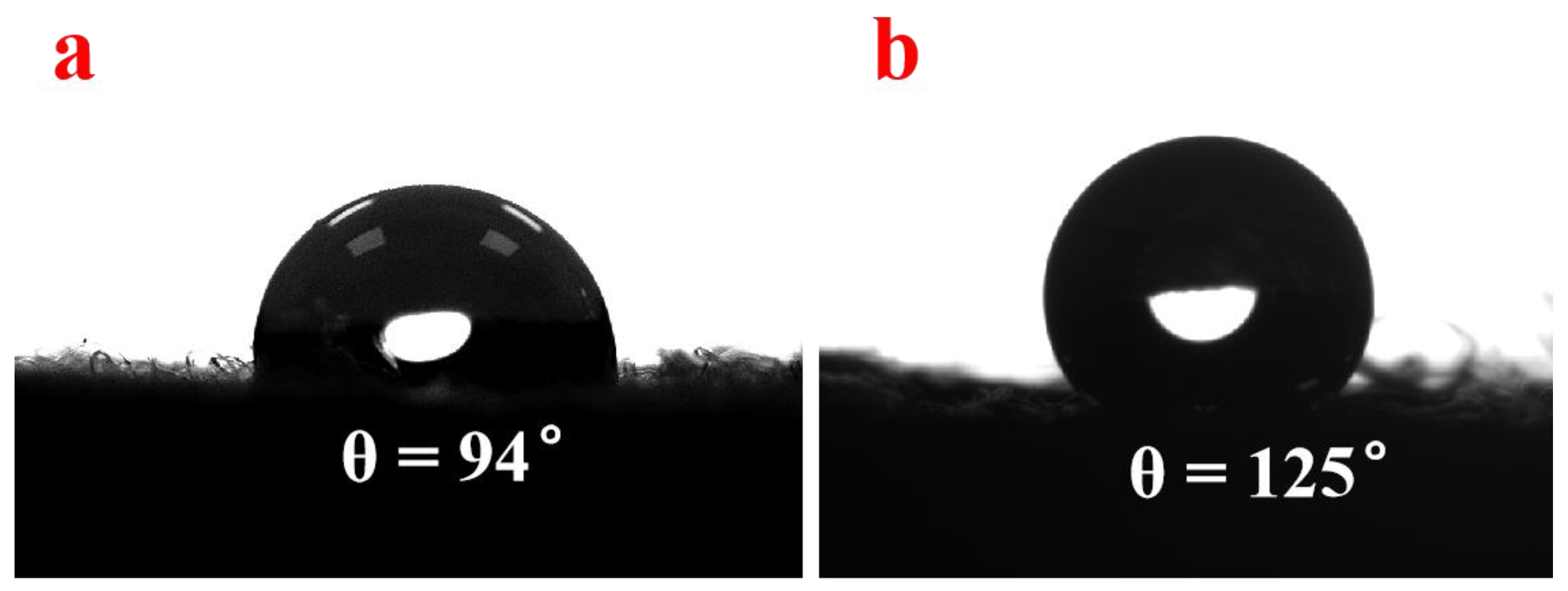 Polymers 16 00369 g007