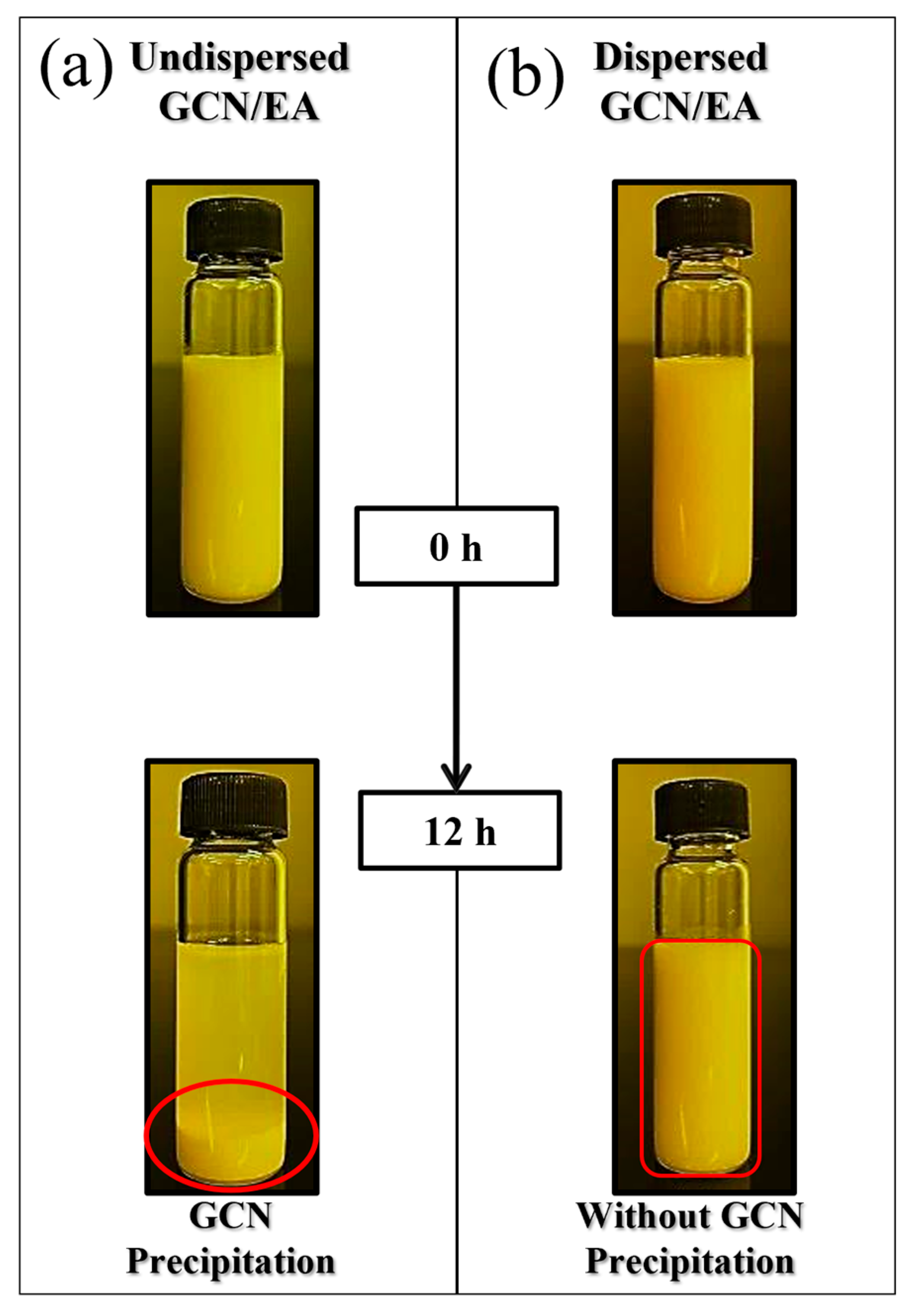 Polymers 16 00370 g006