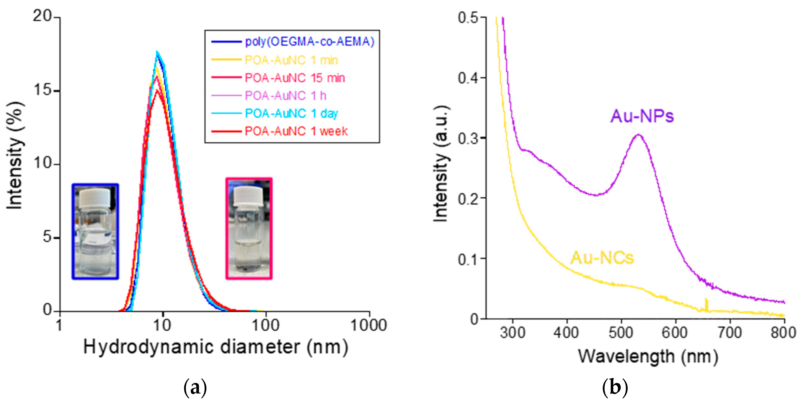 Polymers 16 00378 g002