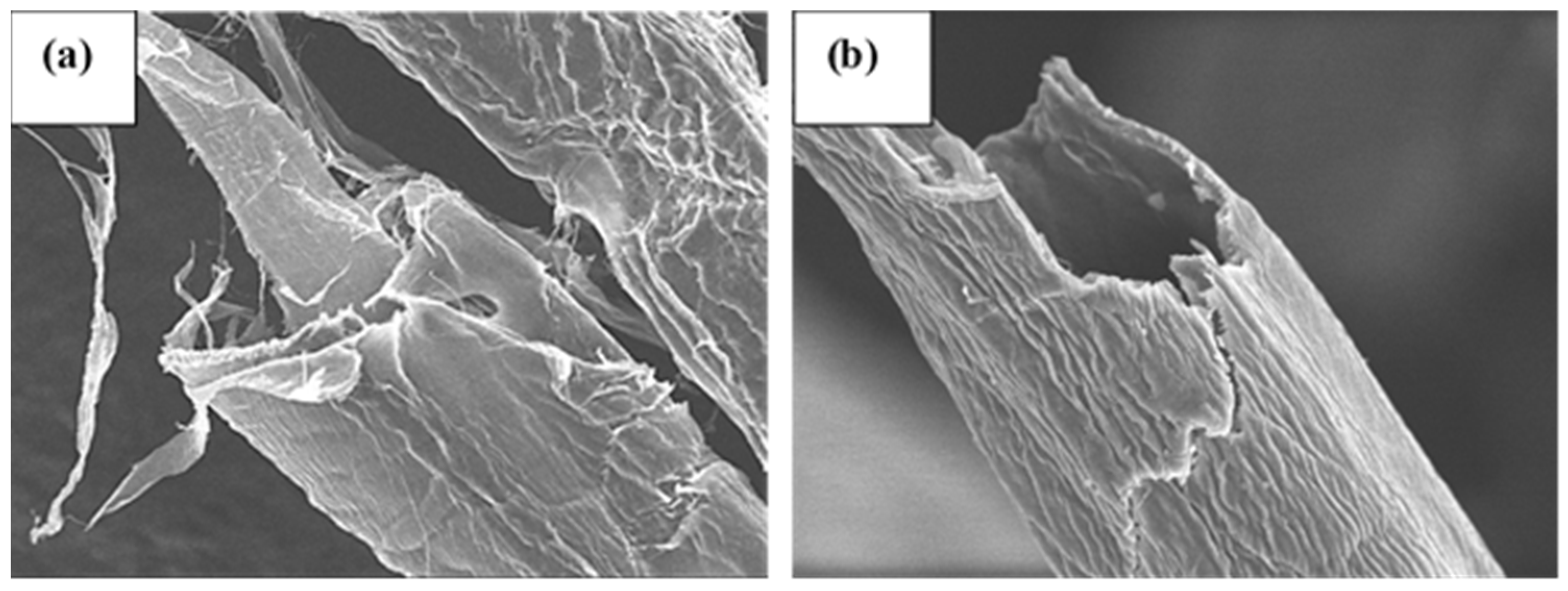Polymers 16 00381 g002