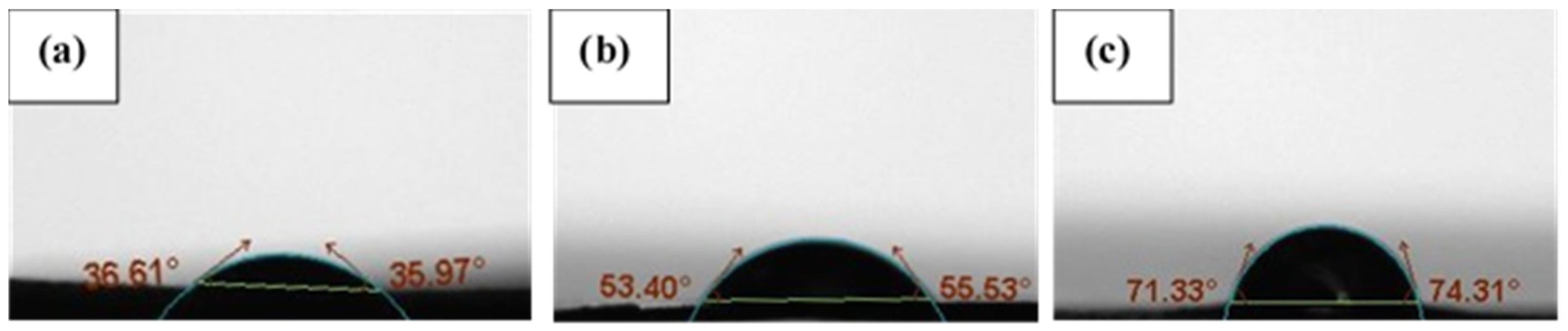 Polymers 16 00381 g003
