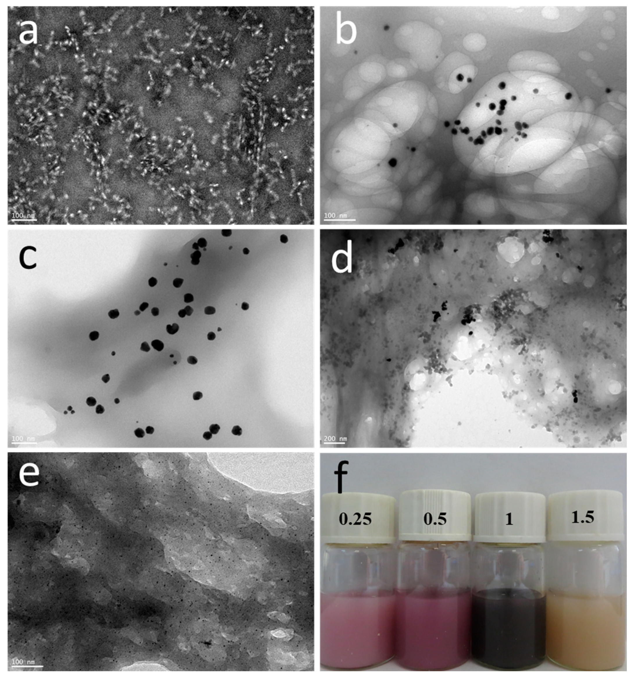 Polymers 16 00390 g002