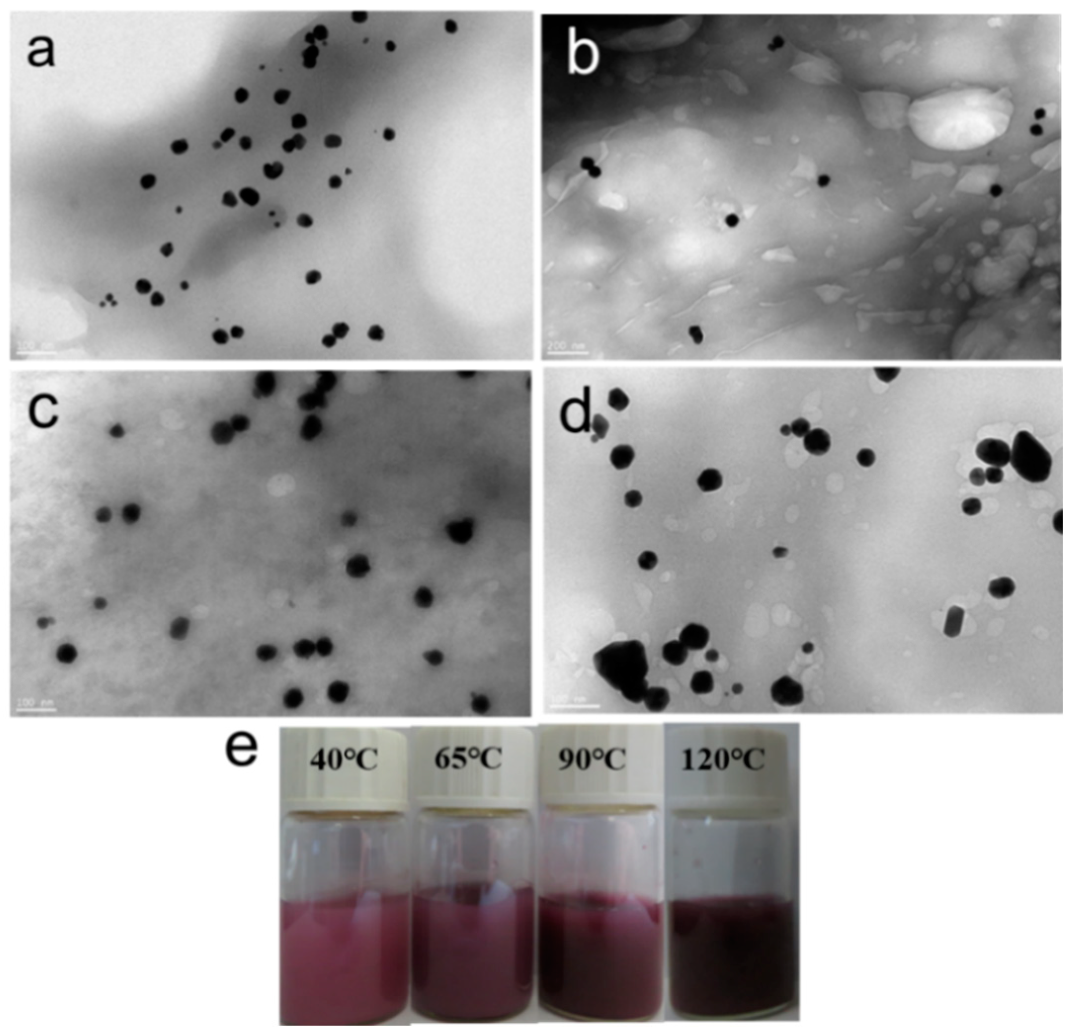 Polymers 16 00390 g004
