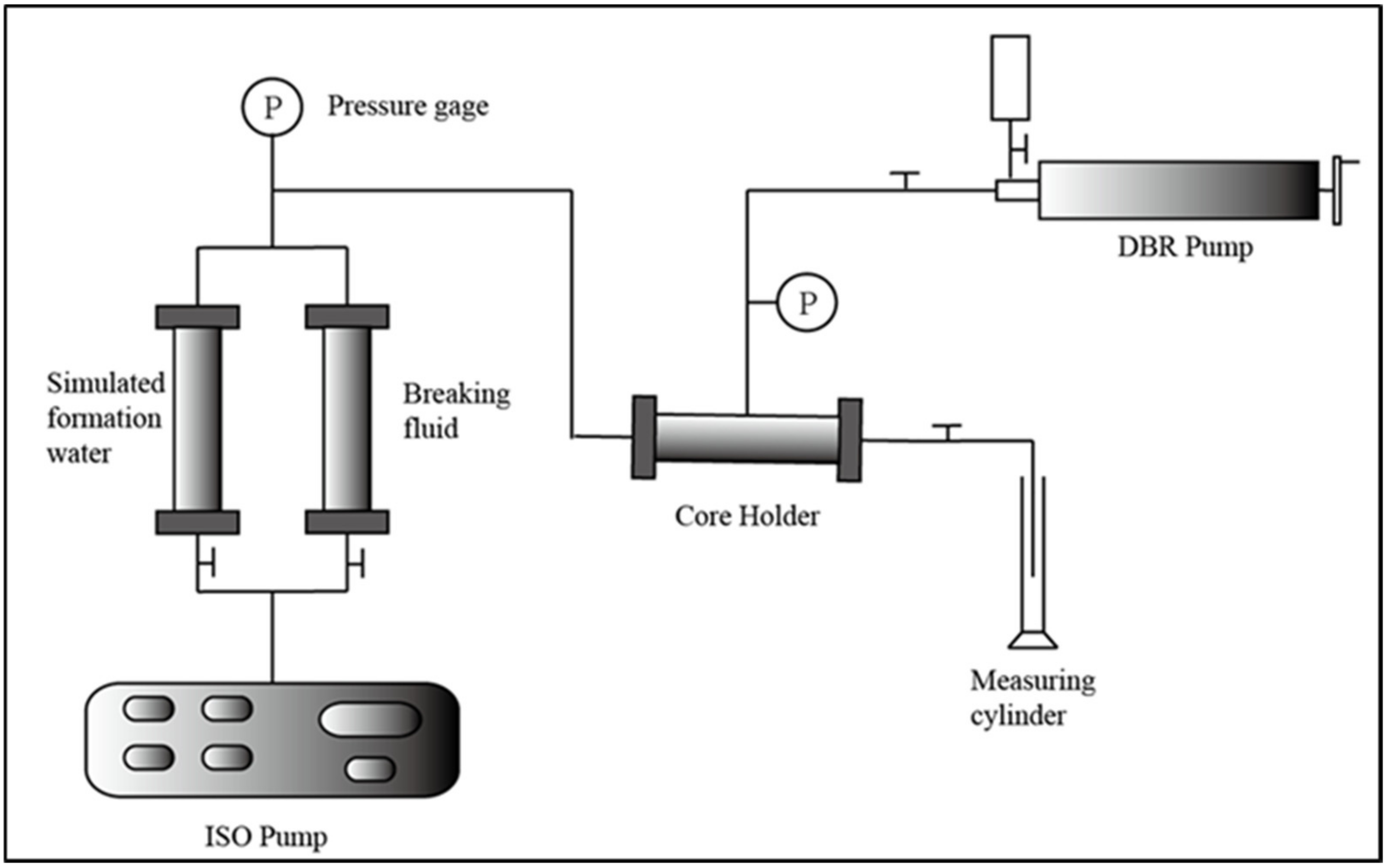 Polymers 16 00397 g001