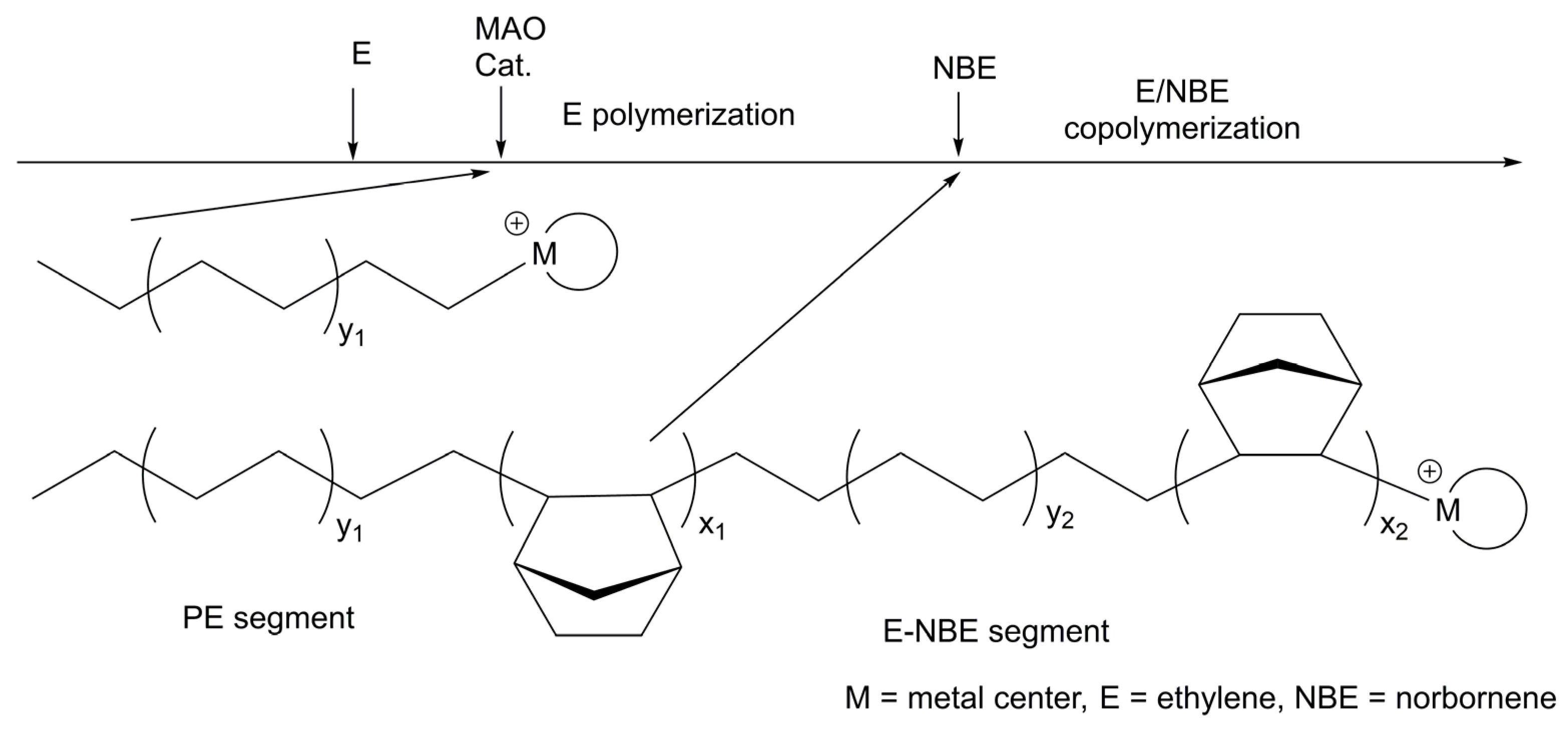 Polymers 16 00406 g007