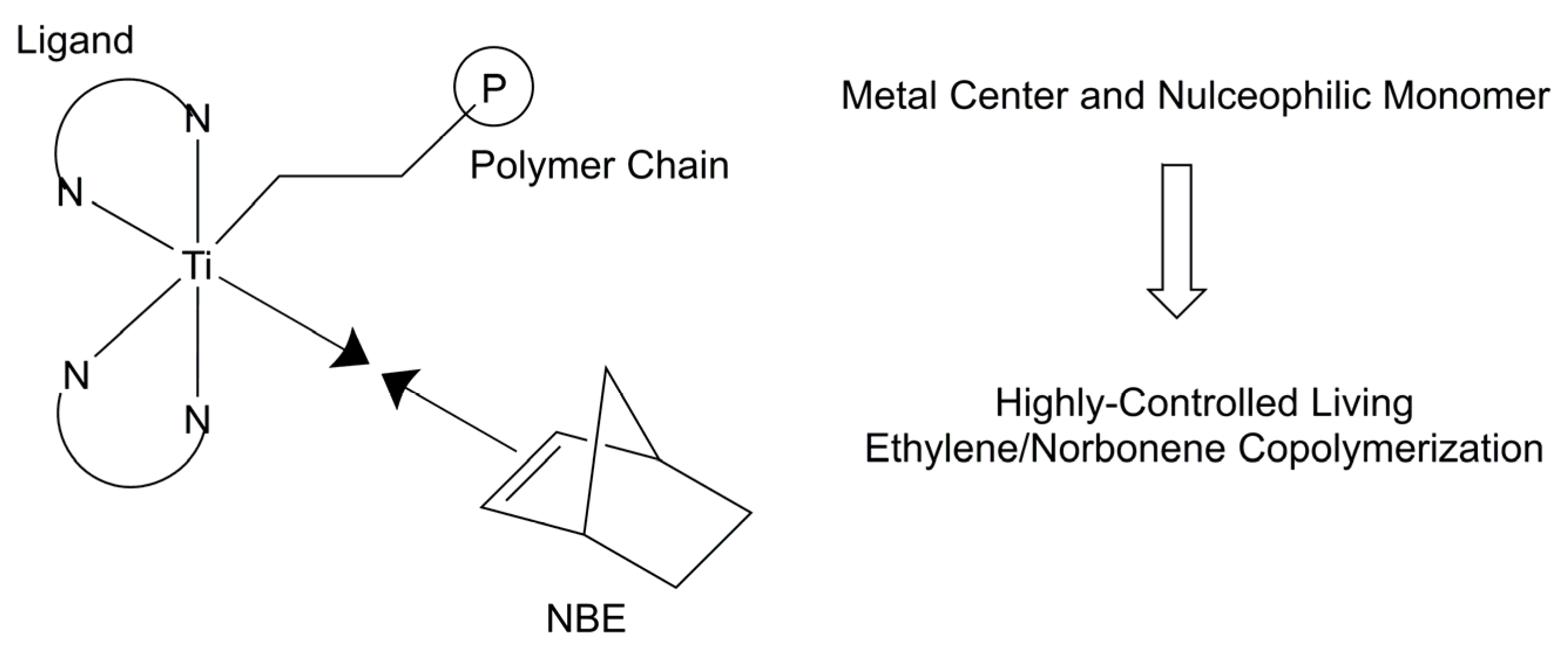 Polymers 16 00406 g008
