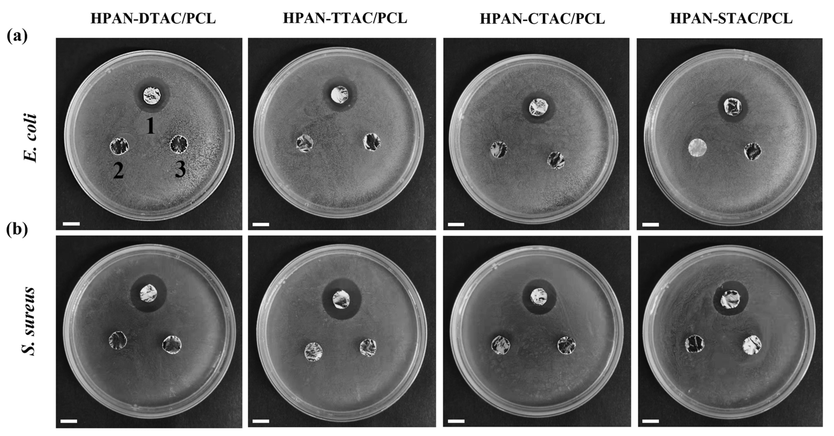 Polymers 16 00414 g008