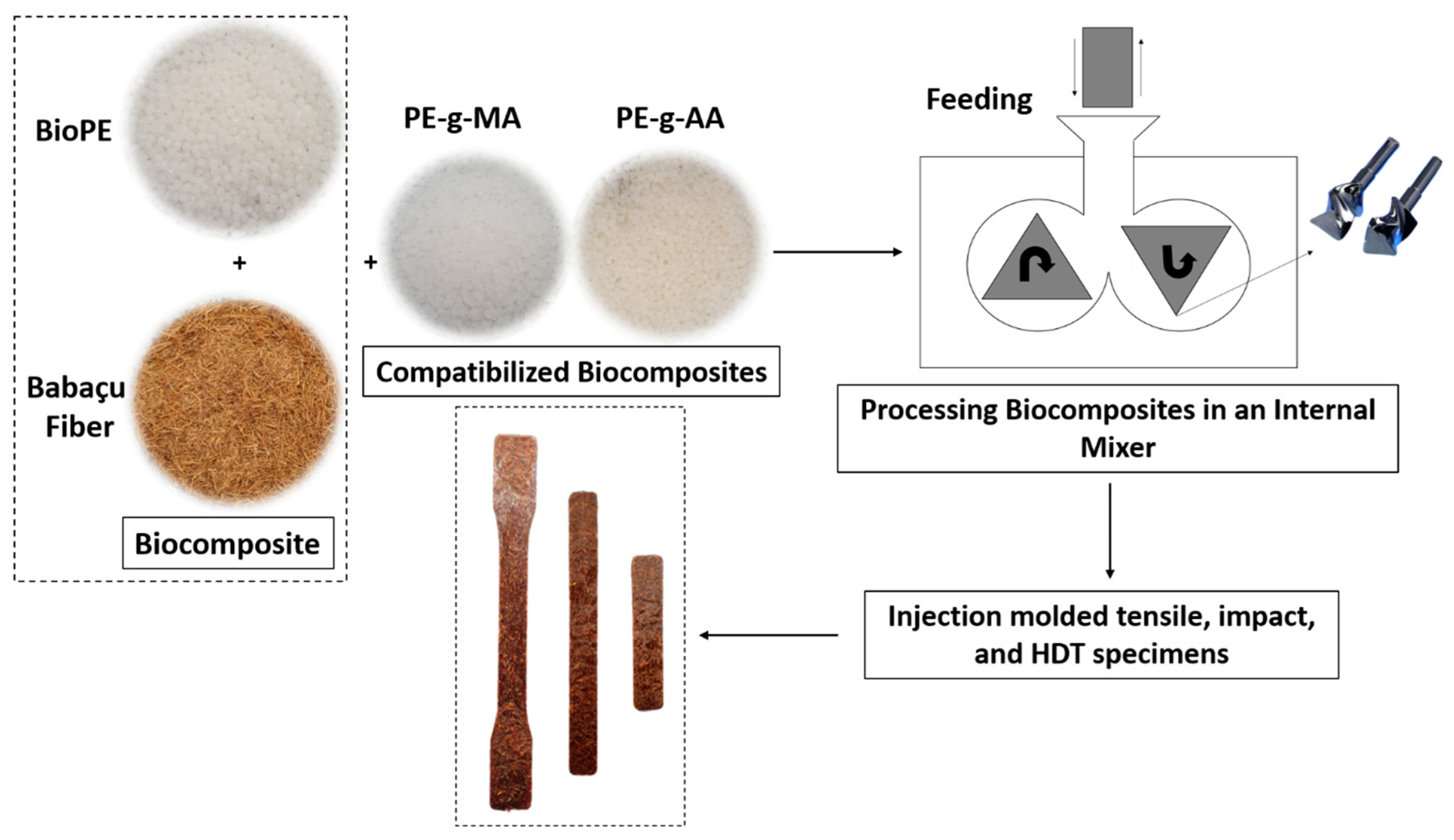 Polymers 16 00419 g001