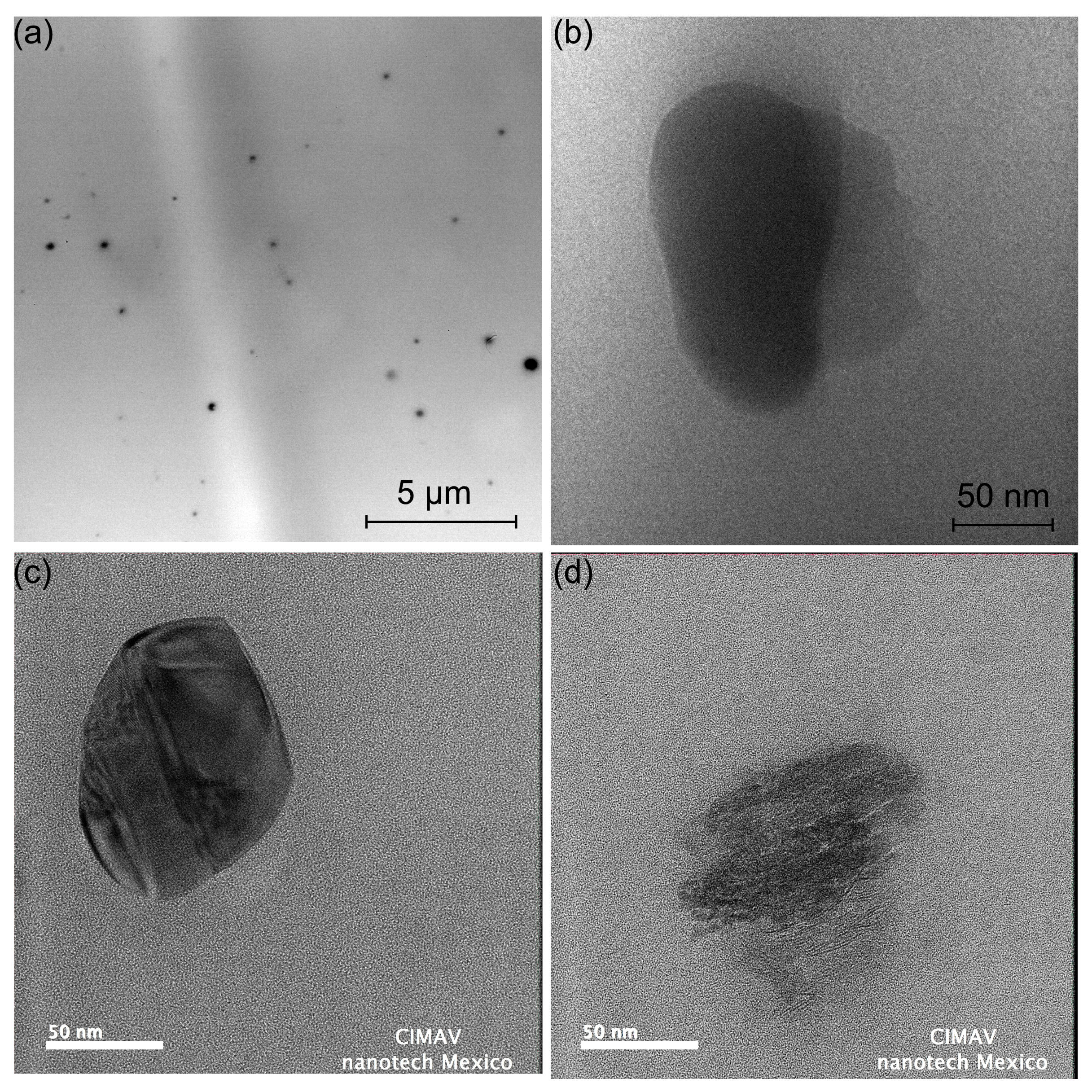 Polymers 16 00431 g008 Polymers 16 00431 g008