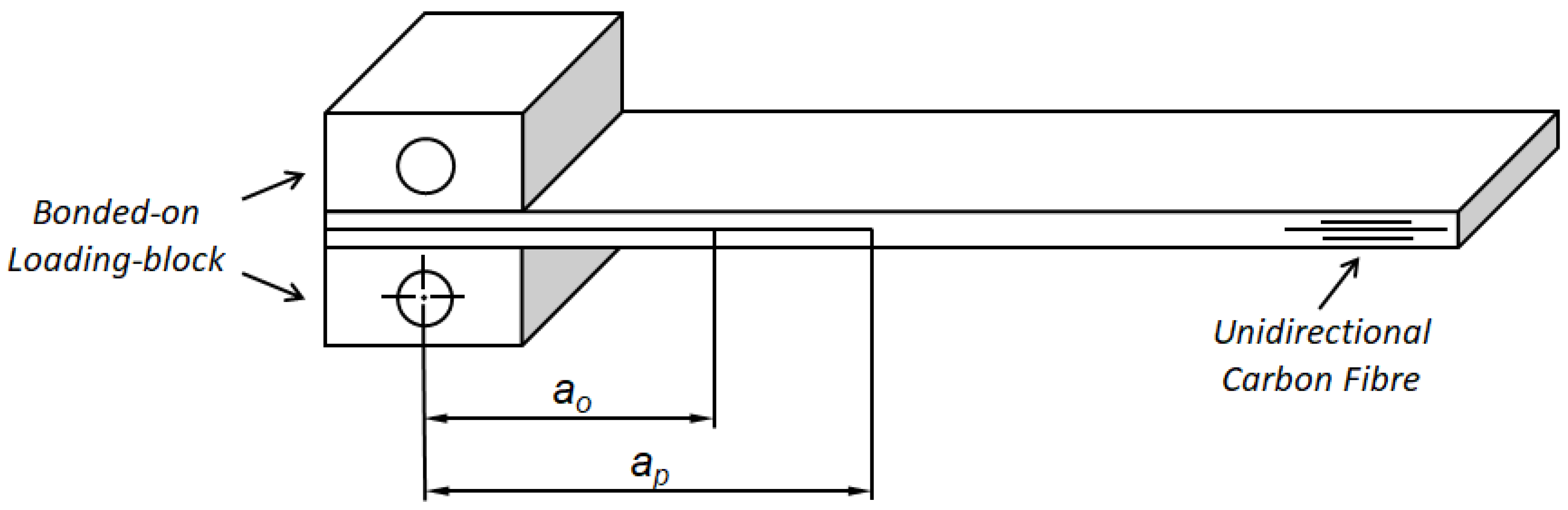Polymers 16 00435 g001