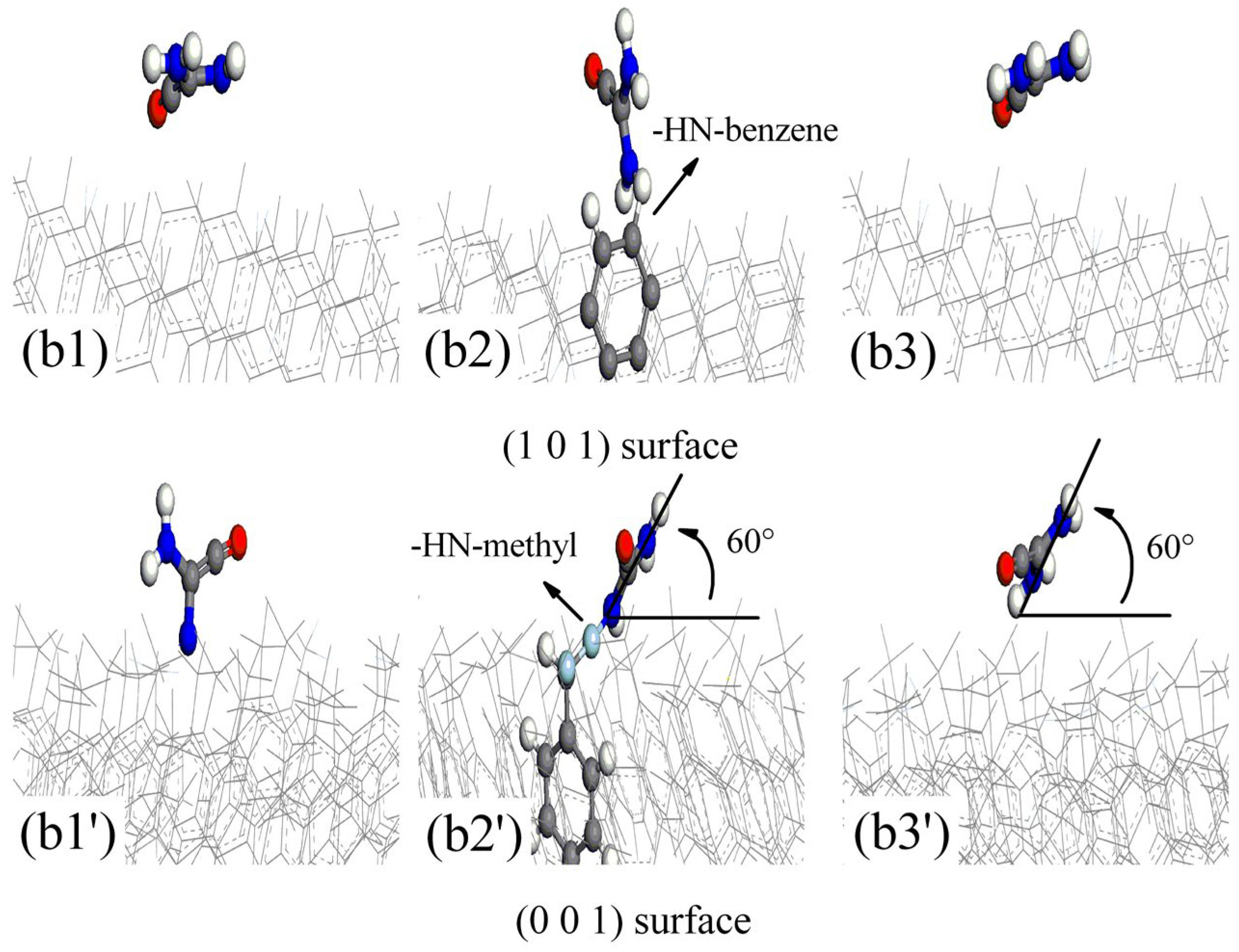 Polymers 16 00438 g010