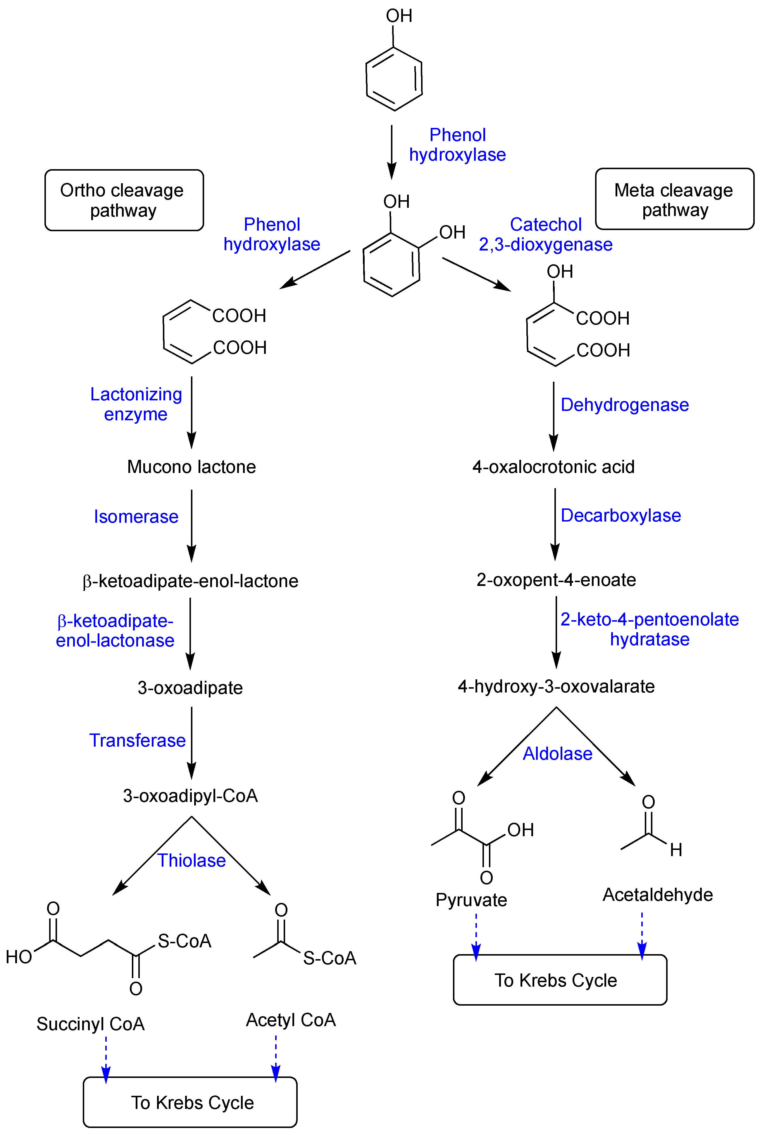 Polymers 16 00443 g001 Polymers 16 00443 g001