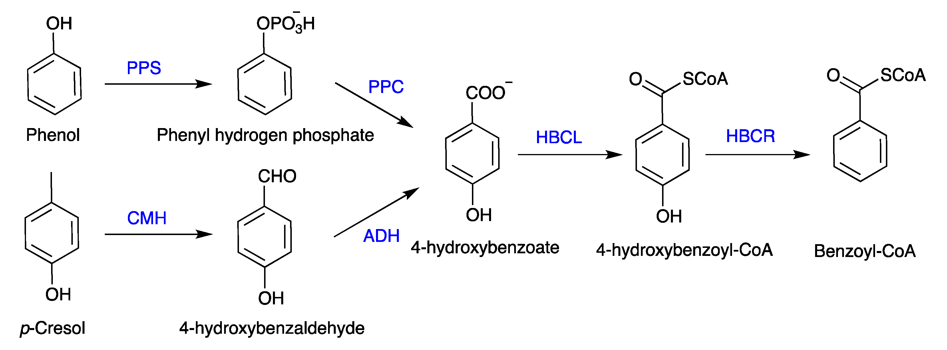 Polymers 16 00443 g002 Polymers 16 00443 g002