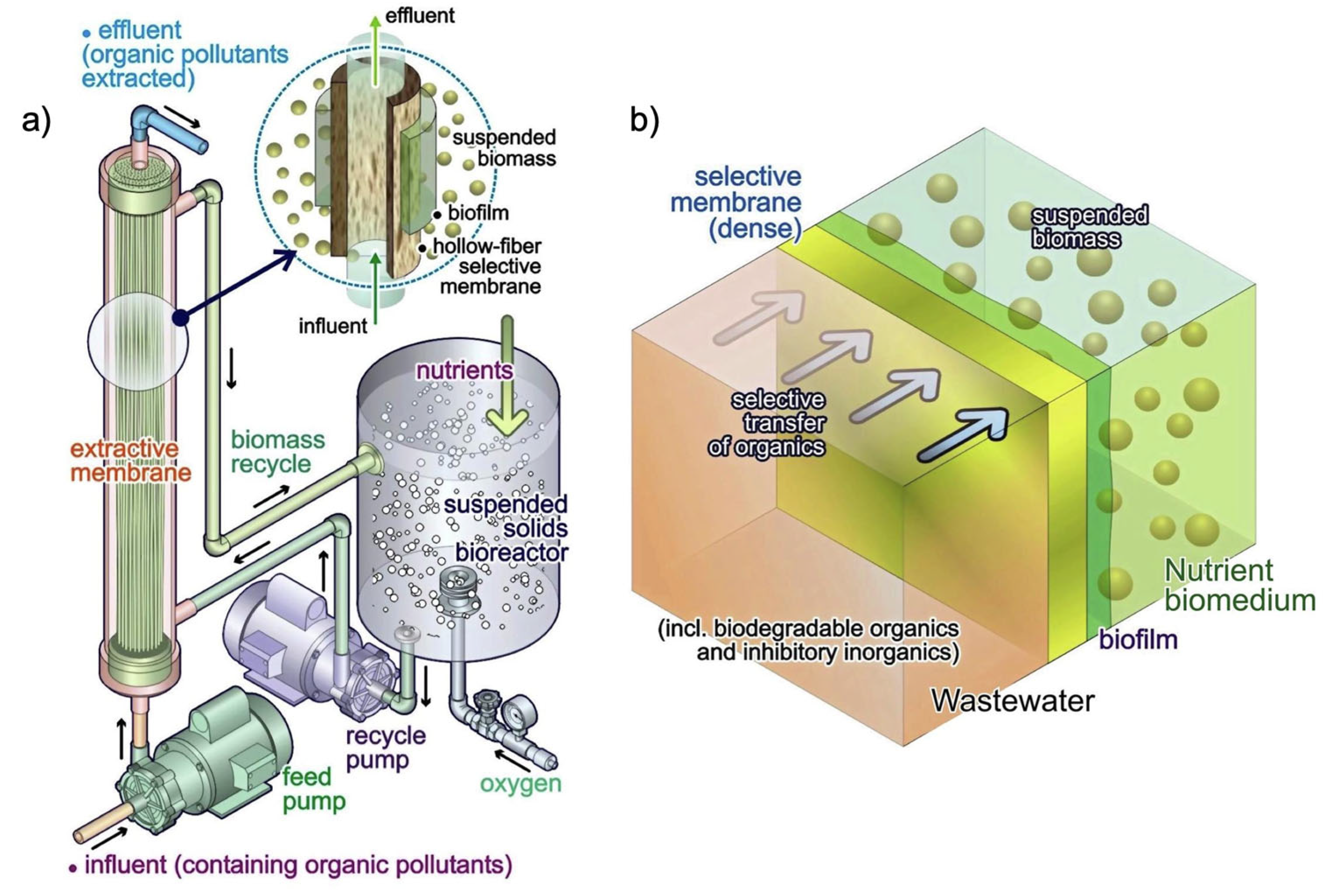 Polymers 16 00443 g006 Polymers 16 00443 g006