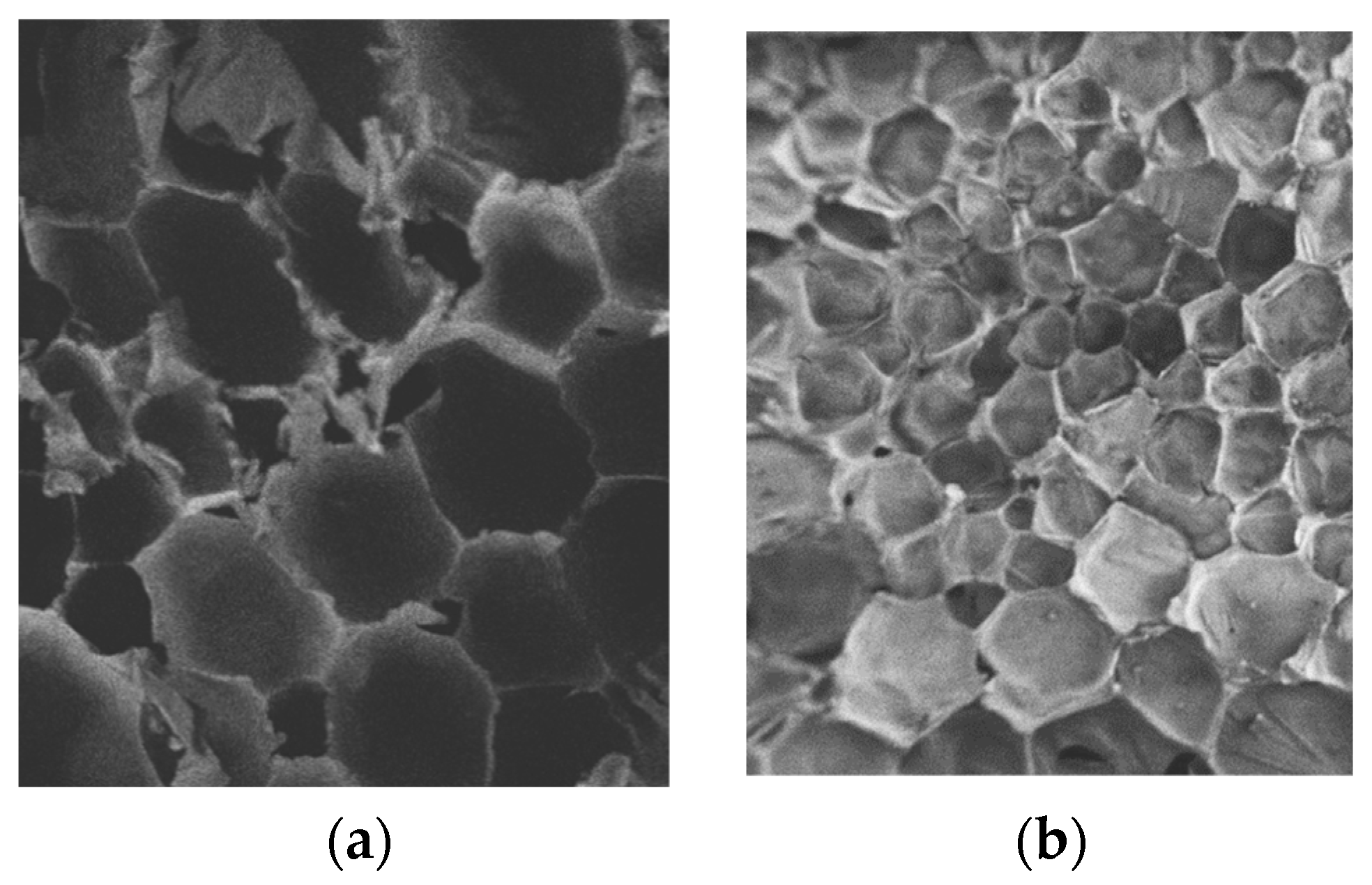 Polymers 16 00446 g011