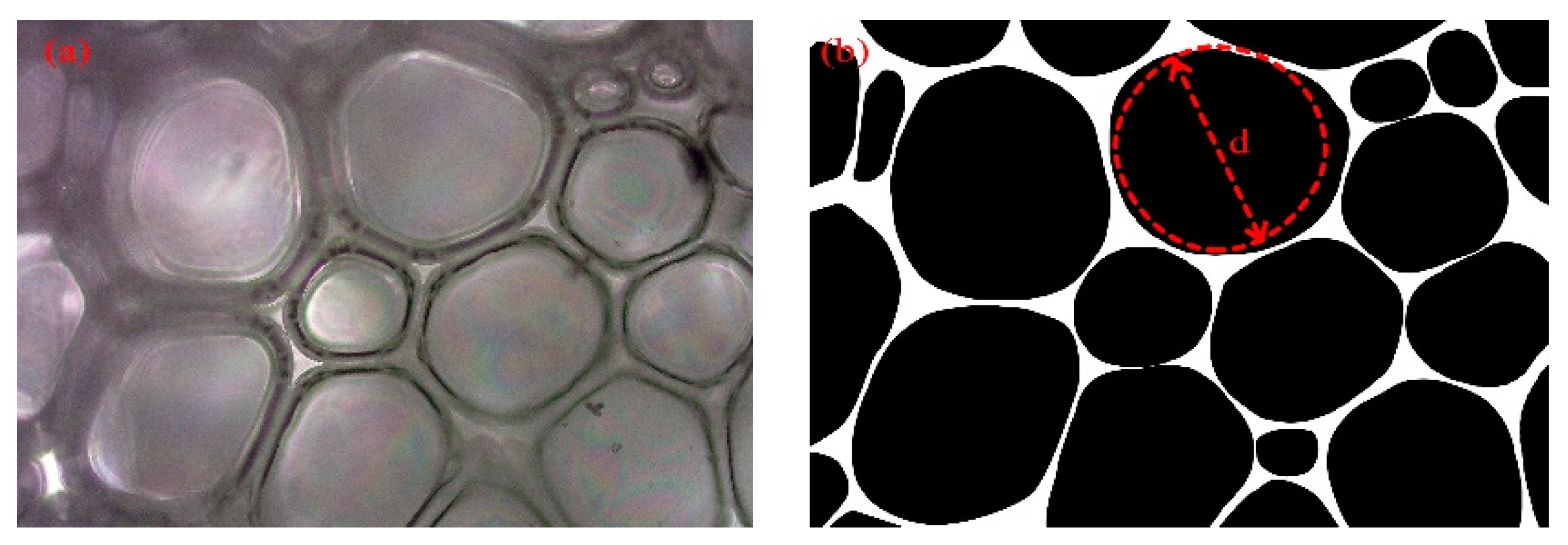 Polymers 16 00446 g012